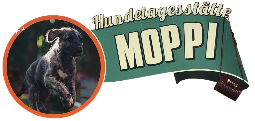 Hundetagesstätte  Moppi